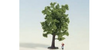 NOCH 28170 Hêtre 13 cm